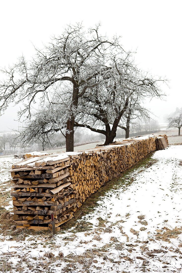 Aufgeschichtetes Brennholz im Winter
