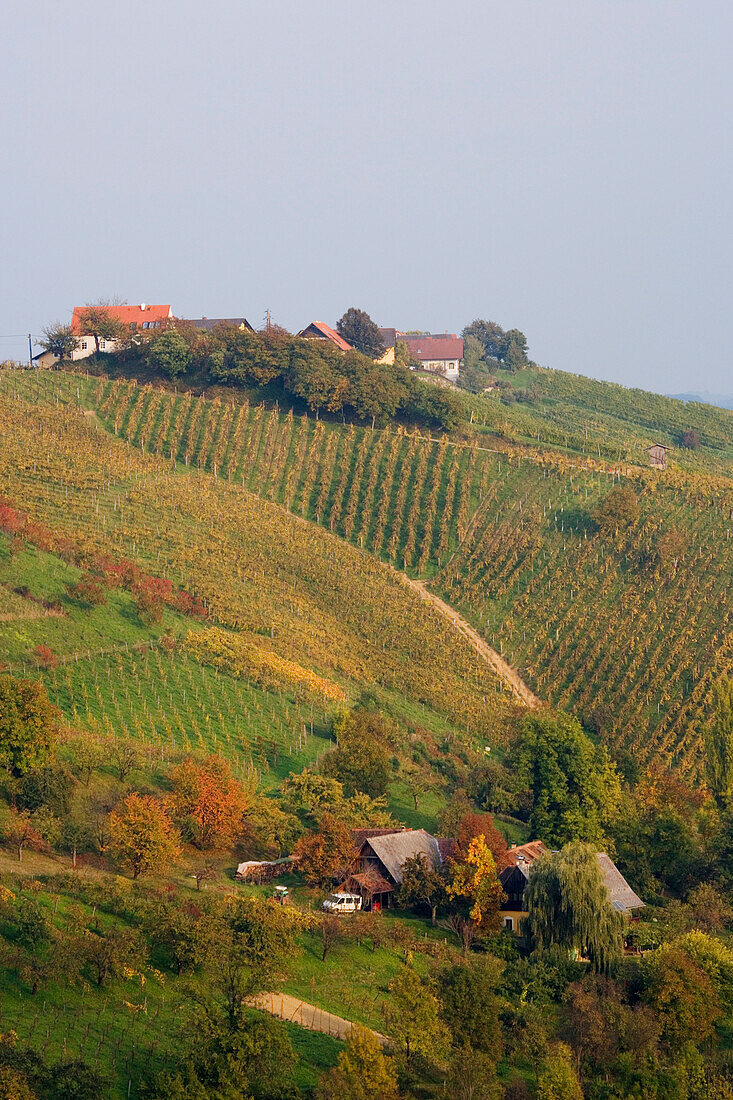 Vine yards and farms, Poessnitz near Leutschach, Southern vine route
