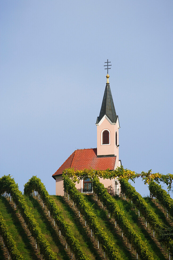 Vine yard and chapel, Schichenau, South east styria