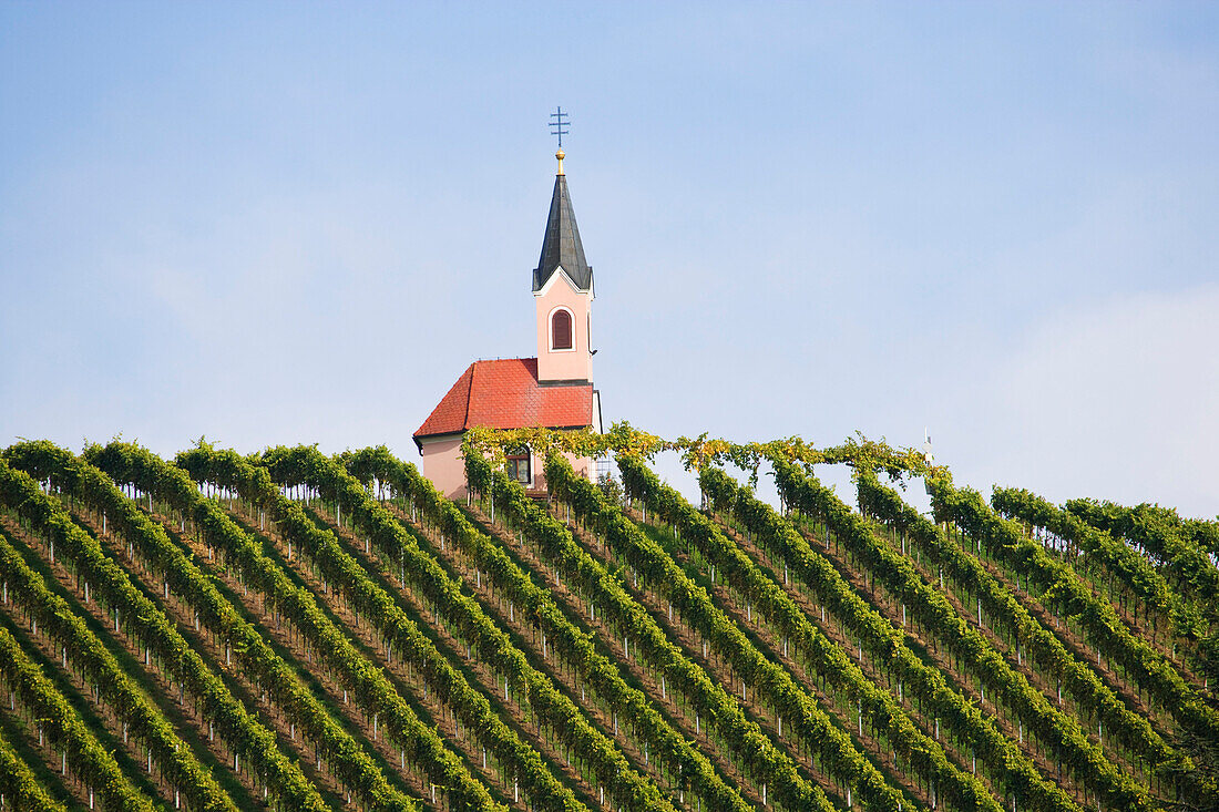 Vine yard and chapel, Schichenau, South east styria