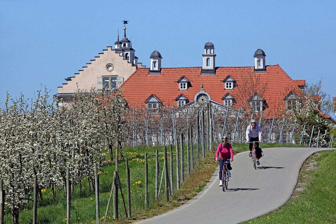Fahrradfahrer vor Schloß Kirchberg, Immenstaad