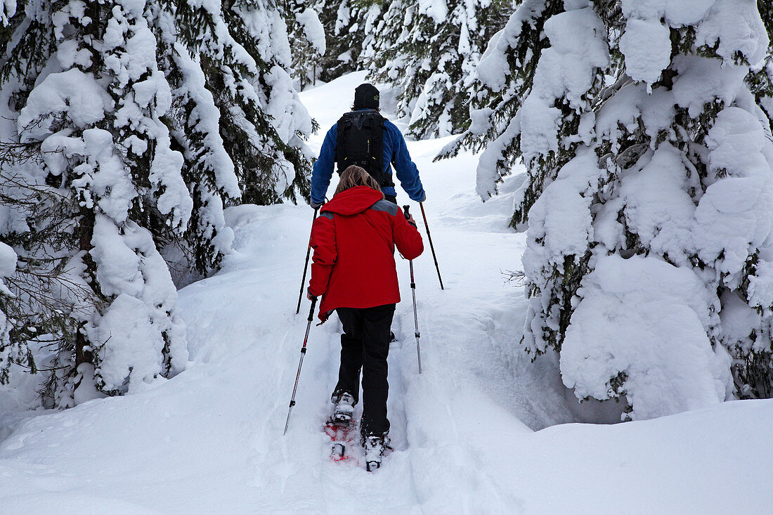 Schneeschuhwanderung über Saalfelden, Saaletal, Pinzgau, Salzburger Land