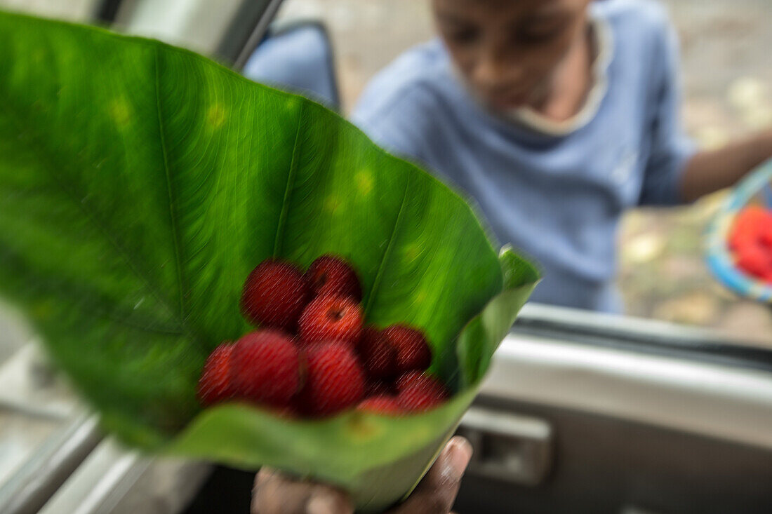 Berries in a leaf, Sao Tome, Sao Tome and Principe, Africa