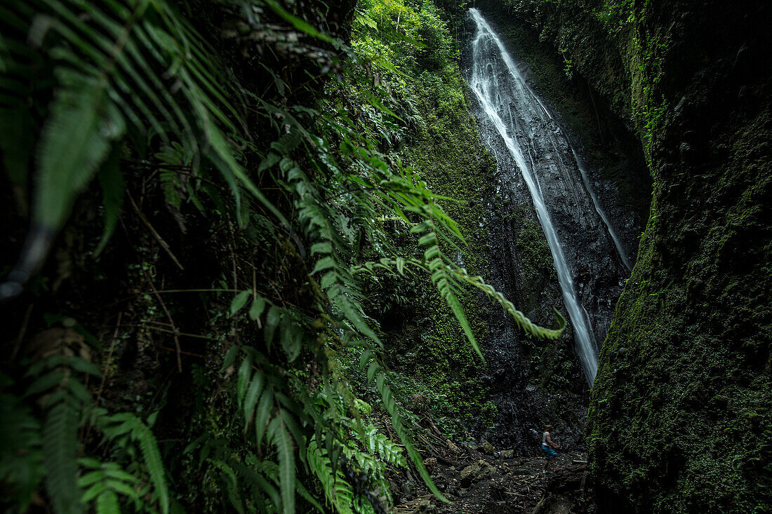 Young woman going to a waterfall in the jungle, Sao Tome, Sao Tome and Pri  ncipe, Africa