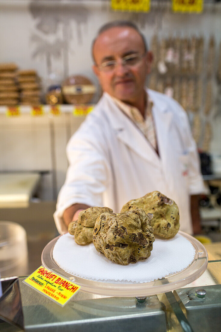 white truffles at the Alba Truffle Market, Alba, Piedmont, Cuneo, Italy