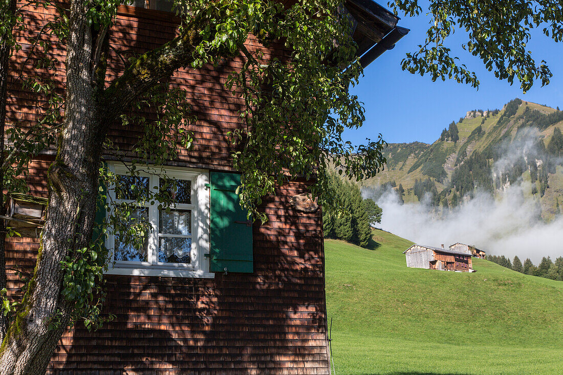 Holzhaus, Fenster, Bregenzerwald, grüne Wiesen, idylle, romantisch, traditionelle Häuser, Bergen, Berglandschaft, Bauernhäuser, Landwirtschaft, Hütte, Almwiesen, Bregenzerwald, Vorarlberg, Österreich