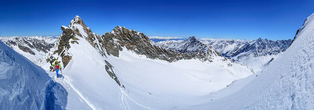 Panorama with woman back-country skiing ascending to Winnebacher Weisserkogel, Winnebacher Weisserkogel, Sellrain, Stubai Alps, Tyrol, Austria