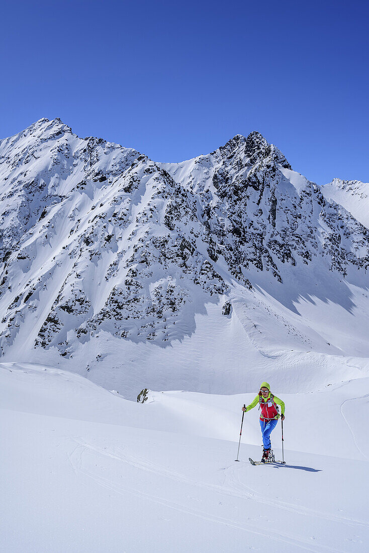 Frau auf Skitour steigt zum Winnebacher Weißerkogel auf, Hoher Seeblaskogel im Hintergrund, Winnebacher Weißerkogel, Sellrain, Stubaier Alpen, Tirol, Österreich
