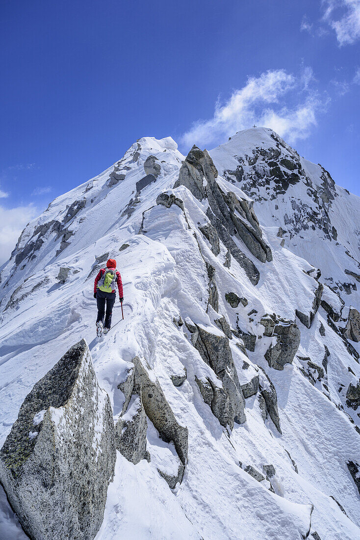 Frau auf Skitour steigt über Fels- und Eisgrat zum Care Alto auf, Care Alto, Adamellogruppe, Lombardei, Italien