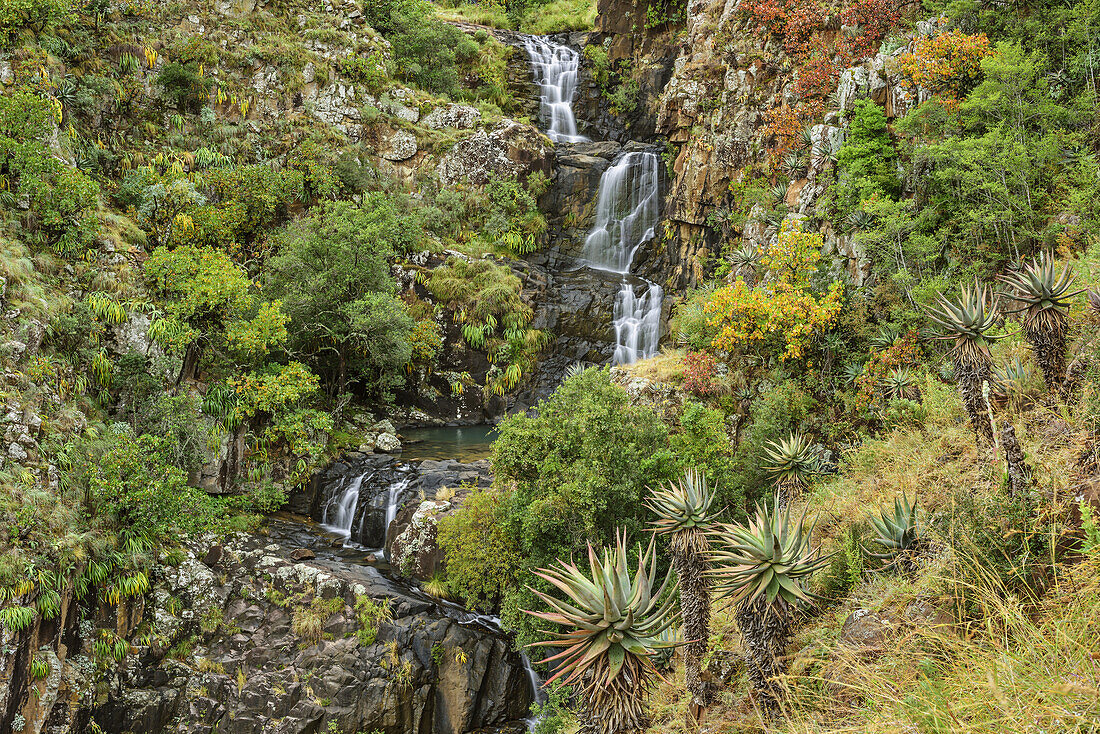 Wasserfälle der Jacob's Ladder, Lotheni, Loteni, Mkhomazi Wilderness Area, Drakensberge, uKhahlamba-Drakensberg Park, UNESCO Welterbe Maloti-Drakensberg-Park, KwaZulu-Natal, Südafrika