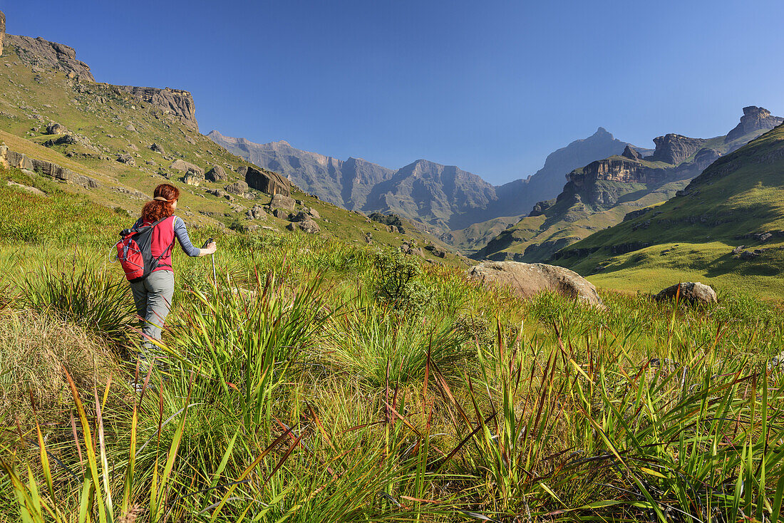 Frau beim Wandern steigt zum Rhino Peak auf, Rhino Peak, Garden Castle, Mzimkhulu Wilderness Area, Drakensberge, uKhahlamba-Drakensberg Park, UNESCO Welterbe Maloti-Drakensberg-Park, KwaZulu-Natal, Südafrika