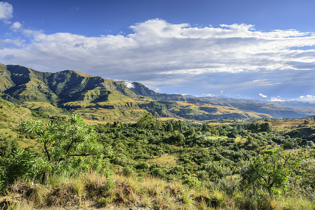 Blick auf Sterkspruit-Tal, Monks Cowl, Mdedelelo Wilderness Area, Drakensberge, uKhahlamba-Drakensberg Park, UNESCO Welterbe Maloti-Drakensberg-Park, KwaZulu-Natal, Südafrika