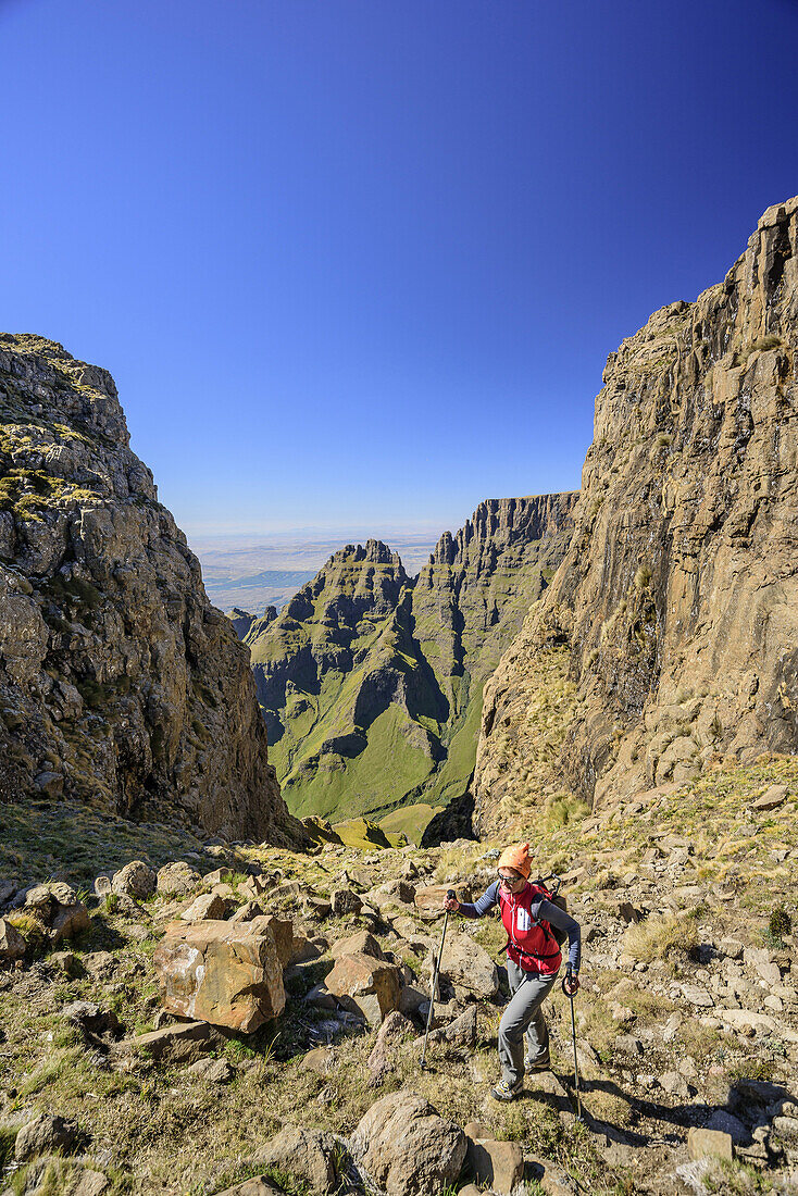 Frau beim Wandern am Grays Pass, Sterkhorn und Cathkin Peak im Hintergrund, Grays Pass, Monks Cowl, Mdedelelo Wilderness Area, Drakensberge, uKhahlamba-Drakensberg Park, UNESCO Welterbe Maloti-Drakensberg-Park, KwaZulu-Natal, Südafrika