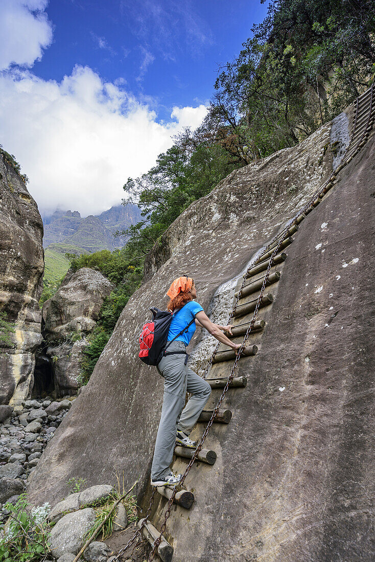 Frau beim Wandern steigt über Leiter aus Tugela Gorge aus, Tugela Gorge, Amphitheatre, Royal Natal, Drakensberge, uKhahlamba-Drakensberg Park, UNESCO Welterbe Maloti-Drakensberg-Park, KwaZulu-Natal, Südafrika