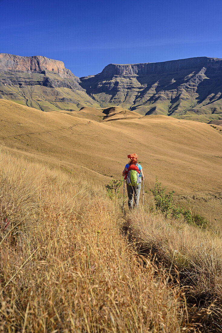 Frau beim Wandern geht auf Giant's Castle und Longwall zu, Giant's Castle, Drakensberge, uKhahlamba-Drakensberg Park, UNESCO Welterbe Maloti-Drakensberg-Park, KwaZulu-Natal, Südafrika