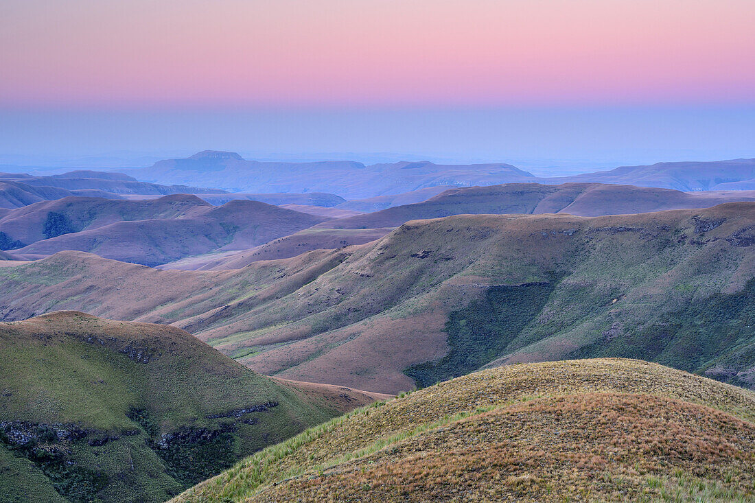 Grassy slope of Little Berg at dusk, Giant's Castle, Drakensberg, uKhahlamba-Drakensberg Park, UNESCO World Heritage Site Maloti-Drakensberg-Park, KwaZulu-Natal, South Africa