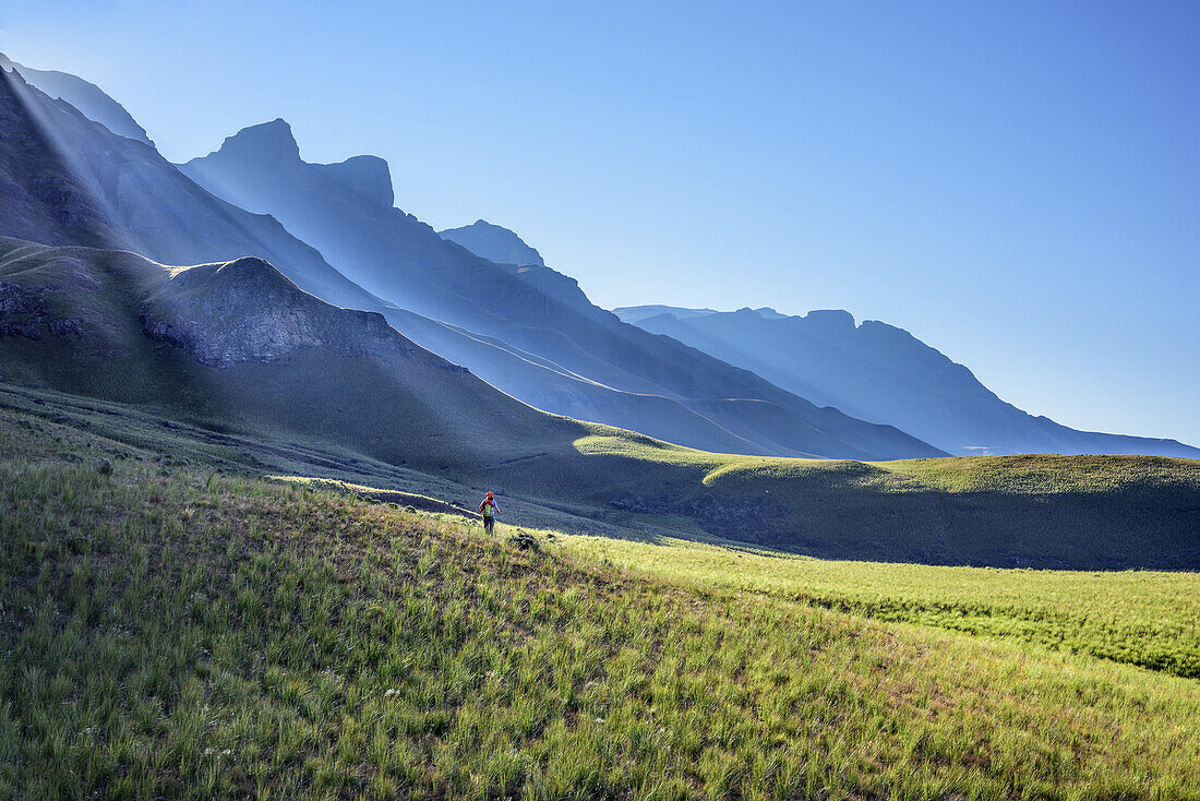 Woman hiking on meadow beneath summits of Giant's Castle, Giant's Castle, Drakensberg, uKhahlamba-Drakensberg Park, UNESCO World Heritage Site Maloti-Drakensberg-Park, KwaZulu-Natal, South Africa