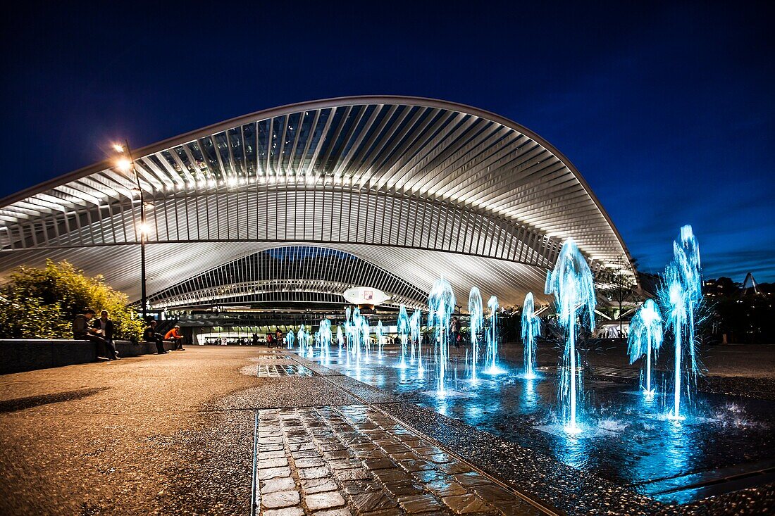 Hauptbahnhof Lüttich-Guillemins, entworfen vom Architekten Santiago Calatrava, Belgien.