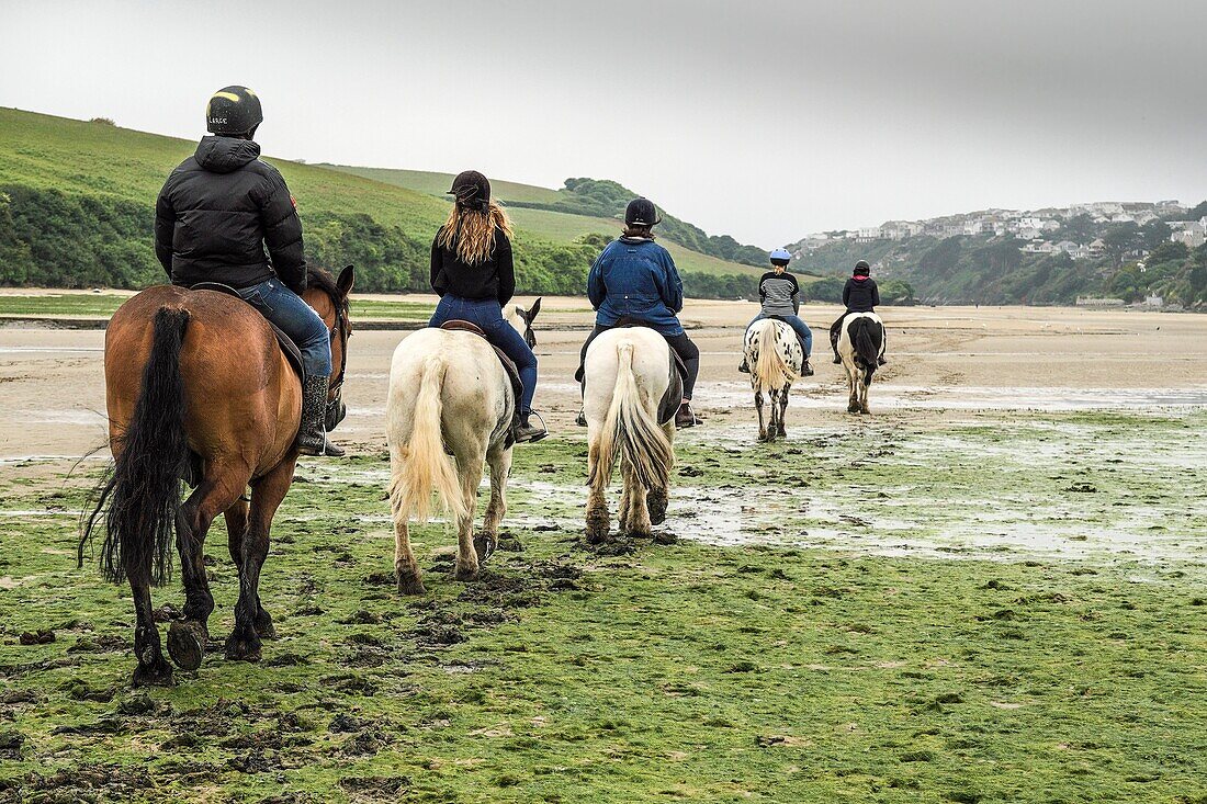 Horses being ridden along the Gannel at low tide in Newquay, Cornwall.