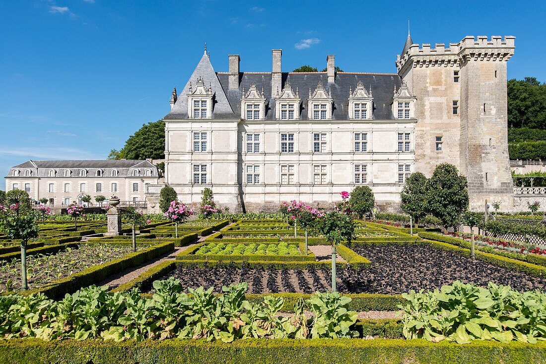 Gardens and Château de Villandry. Its famous Renaissance gardens include a water garden, ornamental flower gardens, and vegetable gardens. Villandry, Indre-et-Loire, Loire Valley, France, Europe.