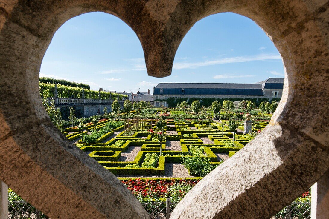 Gardens and Château de Villandry. Its famous Renaissance gardens include a water garden, ornamental flower gardens, and vegetable gardens. Villandry, Indre-et-Loire, Loire Valley, France, Europe.
