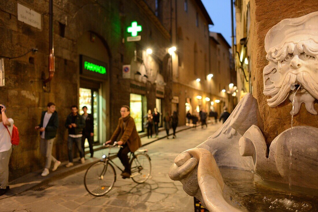 Florence. Italy. Fontana del Buontalenti and Borgo San Jacopo in the Oltrarno quarter.