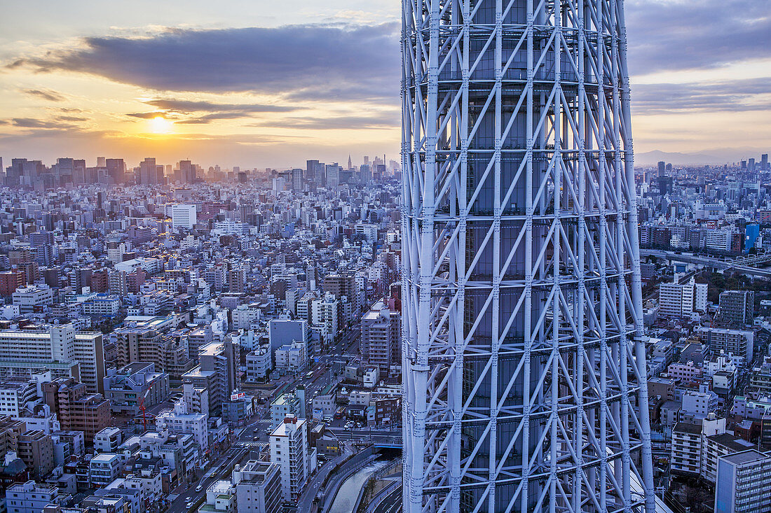 Sunset, detail of Skytree tower and northern skyline of the city, Tokyo, Japan.