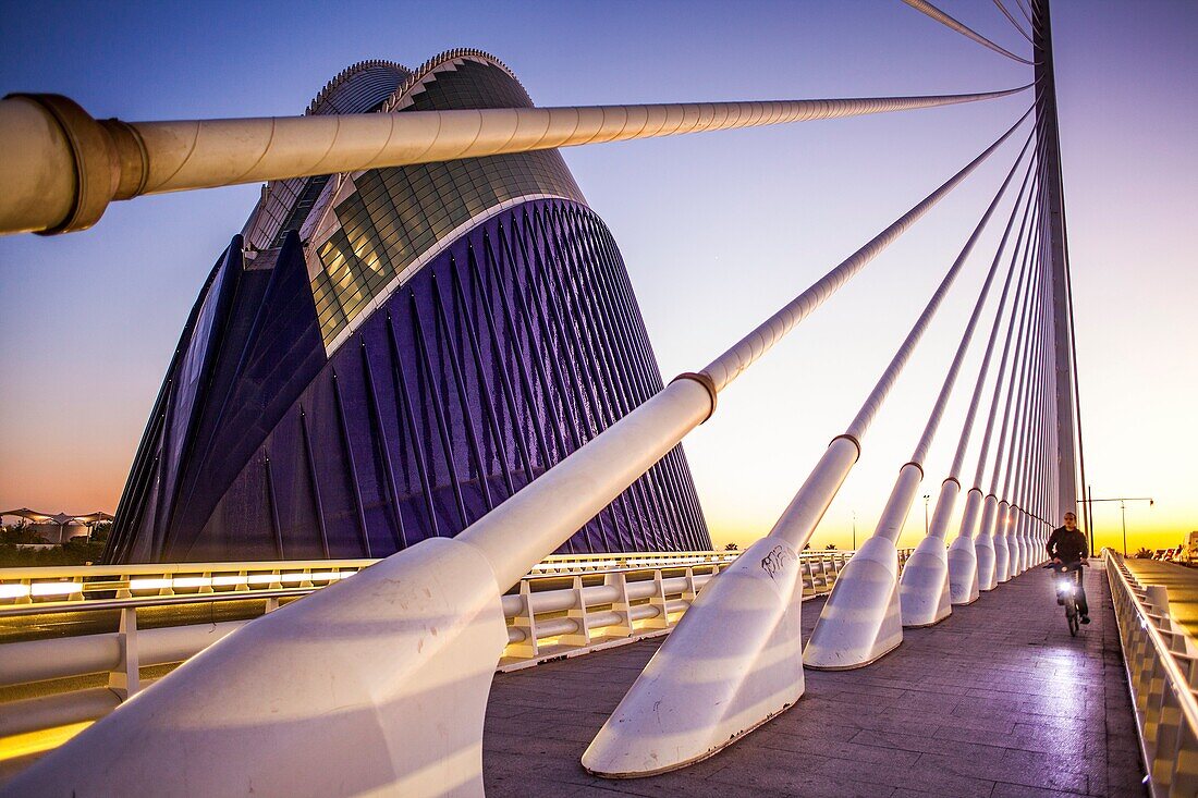 El Pont de l´Assut de l´Or and L´Agora, in City of Arts and Sciences. Valencia, Spain.