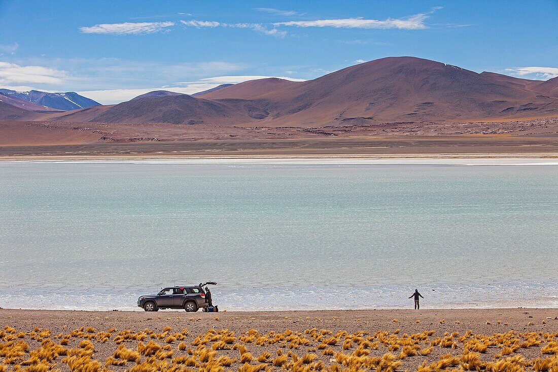 Salar (salt flats) or laguna (lagoon) de Tuyaito, also called Tuyajito, Altiplano, Puna, Atacama desert. Region de Antofagasta. Chile.
