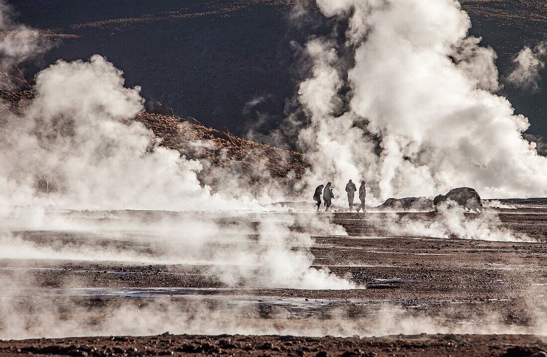 El Tatio geysers, Atacama desert. Region de Antofagasta. Chile.