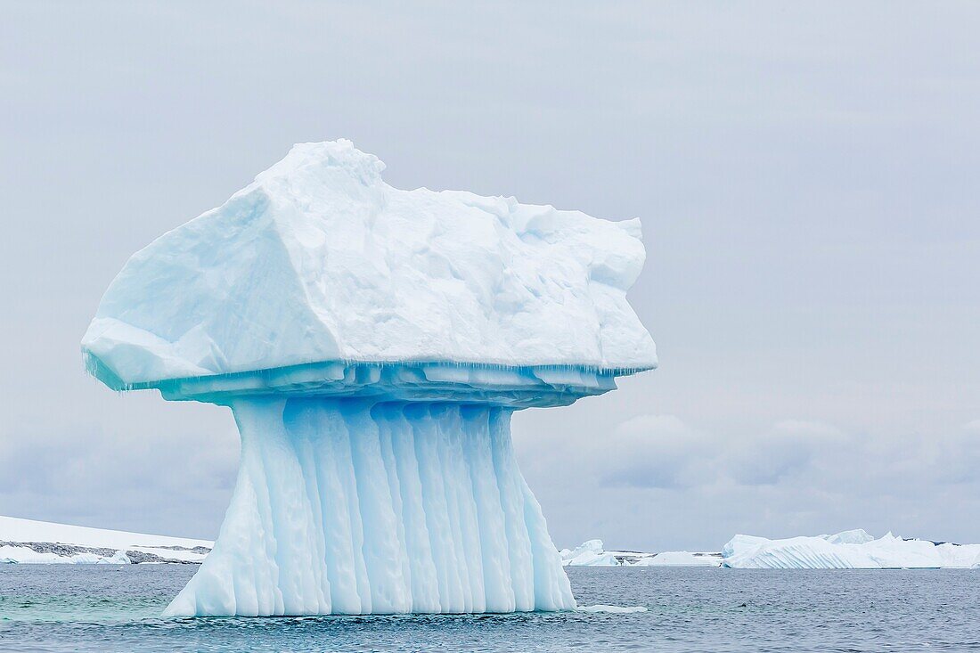 Iceberg detail off Booth Island, Western side of the Antarctic Peninsula, Antarctica.