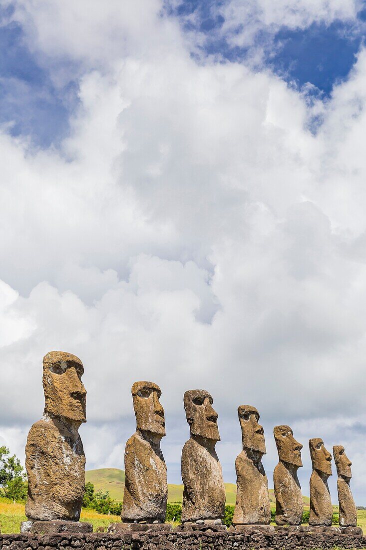 7 Moai at Ahu Akivi, the first restored altar on Easter Island, Isla de Pascua, Rapa Nui, Chile.