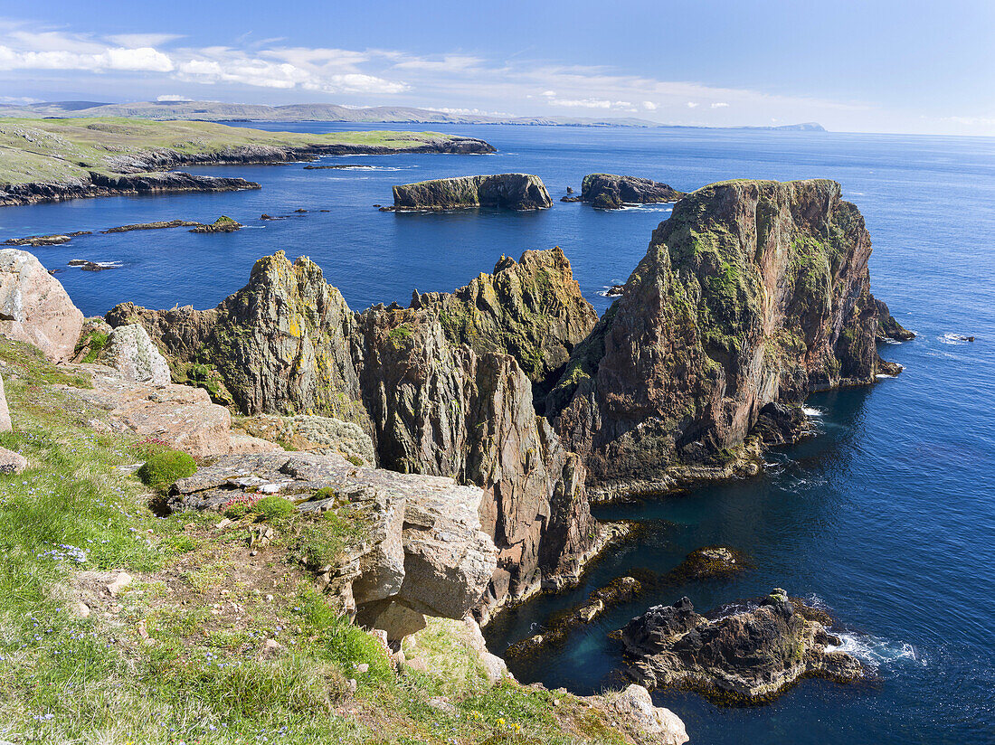 Landscape on West Shetland. the cliffs between Silwick and Westerwick, in the background south shetland with Fitful Head. Europe, Great Britain, Scotland, Northern Isles, Shetland, May.