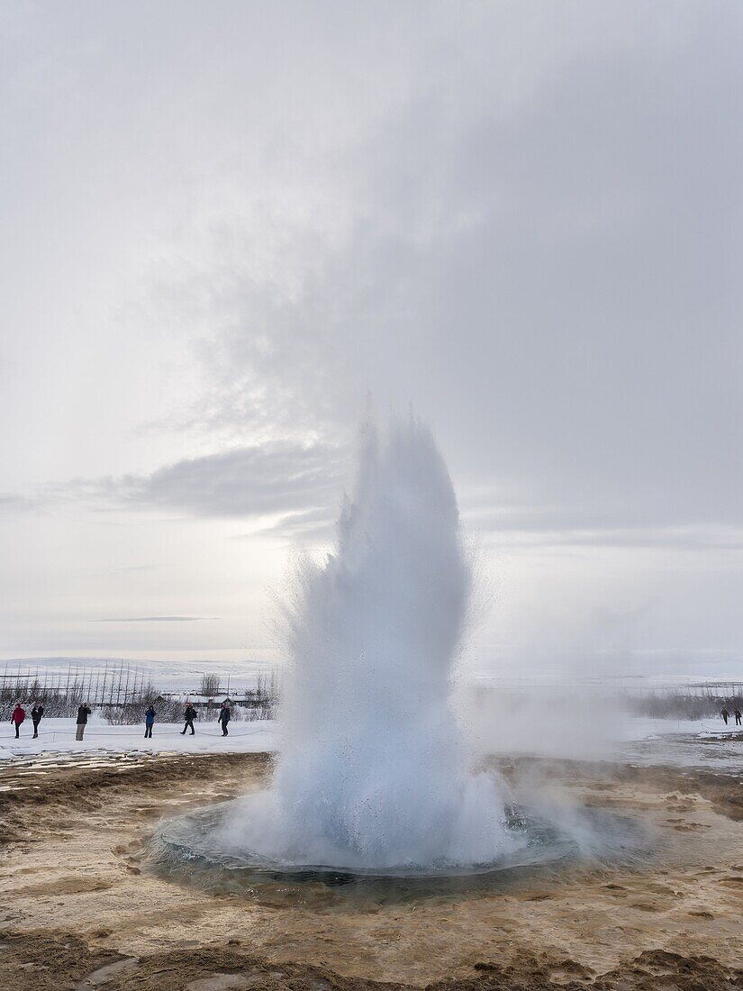 The geothermal area Haukadalur part of the touristic route Golden Circle during winter. Geysir Strokkur. europe, northern europe, iceland, March.