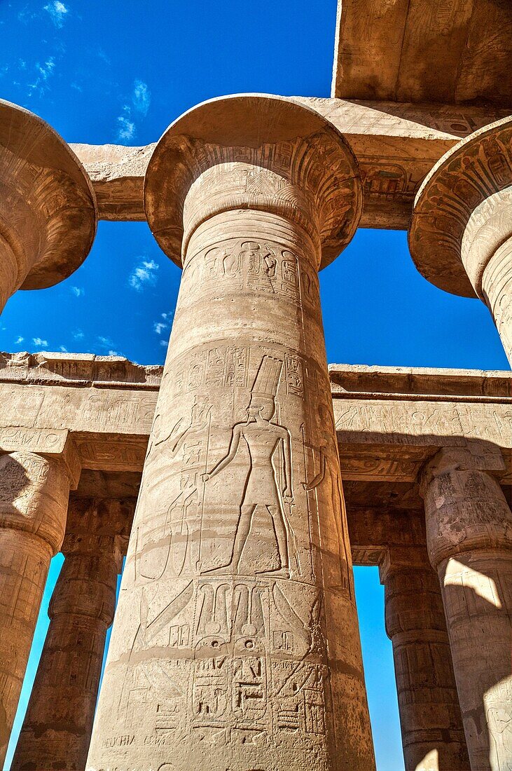 Column Reliefs, Hypostyle Hall, The Ramesseum (or Mortuary Temple of Ramese II), Luxor, West Bank, Nile Valley, Egypt