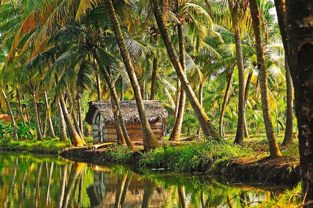 small thatched building beside backwaters of Monroe Island, Kerala, India.