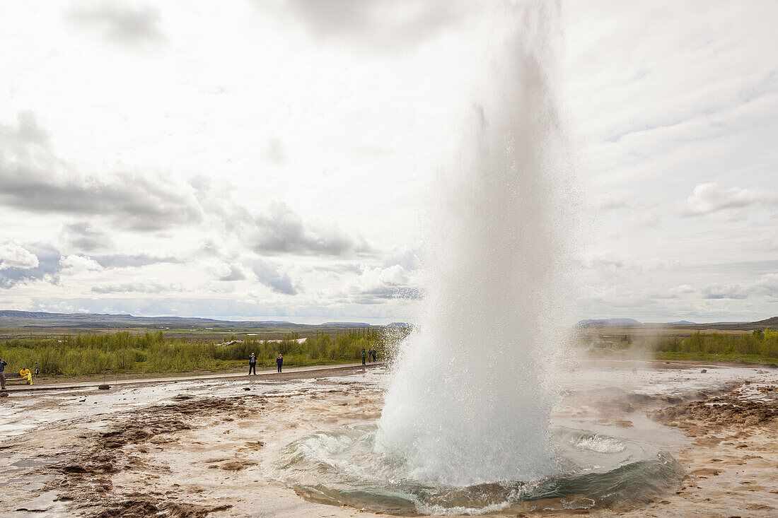 Strokkur geyser erupting, in the Geysir hot springs area, Haukadalur geothermal area, Southwest Iceland.