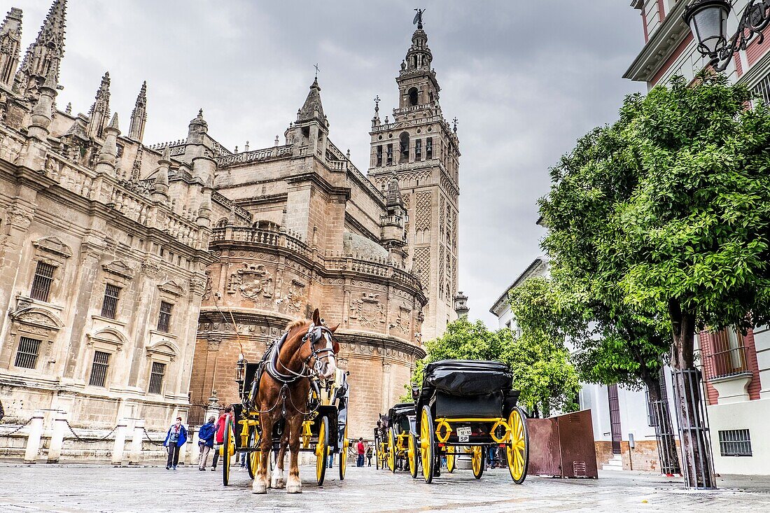 Horse car and Giralda tower, Seville, Andalusia, Spain.