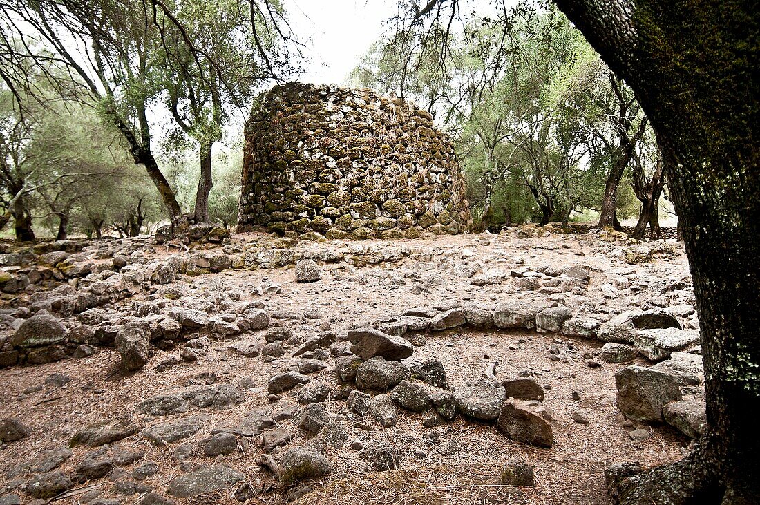 'Italy,Sardegna, Paulolatino, Oristano province, prehistoric site of St. Cristina,nuragic village 1500-1200 BC, the ''Nuraghe'' dating to the XI-IX century BC.'