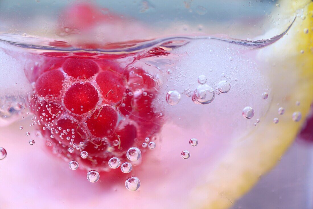 Close up detail of a gin and tonic with wild raspberries.