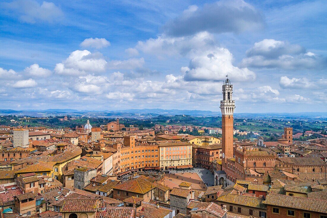 View of Piazza del Campo with Torre del Mangia and Palazzo Publico in Siena