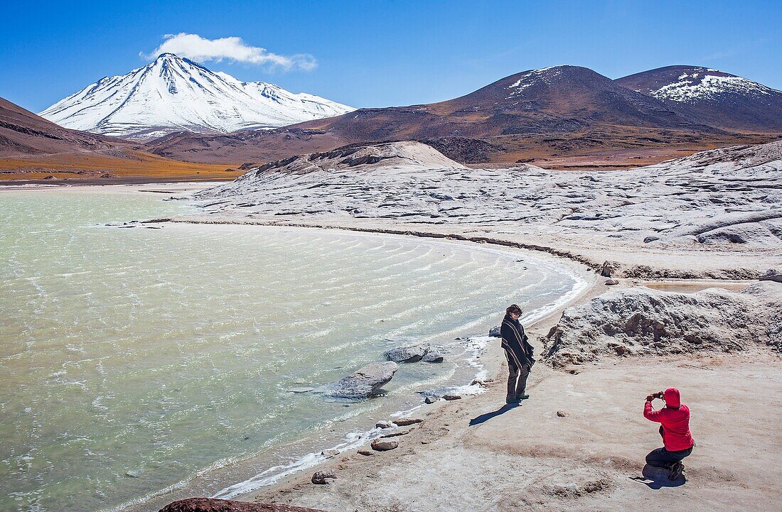 Salar (salt flats) or laguna (lagoon) de Talar, also called de Aguas Calientes, Altiplano, Puna, Atacama desert. Region de Antofagasta. Chile.