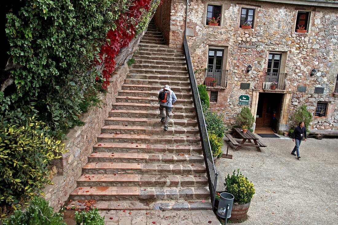 Stairs, Sanctuary of Santa Maria de Montgrony, Ripolles, Catalonia, Spain