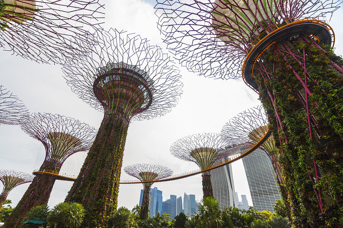 Gardens by the Bay. Marina Bay. Singapore, Asia.