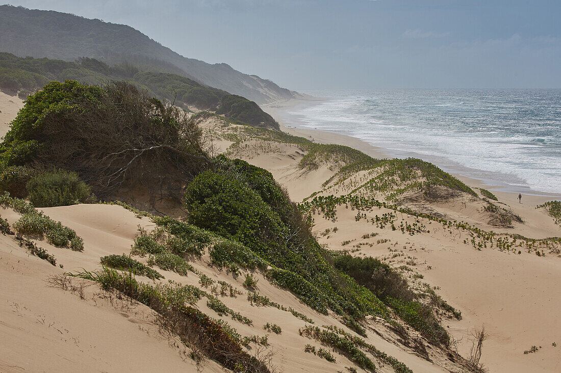 Dunes at the Indian Ocean in iSimangaliso-Wetland Park, South Africa, Africa