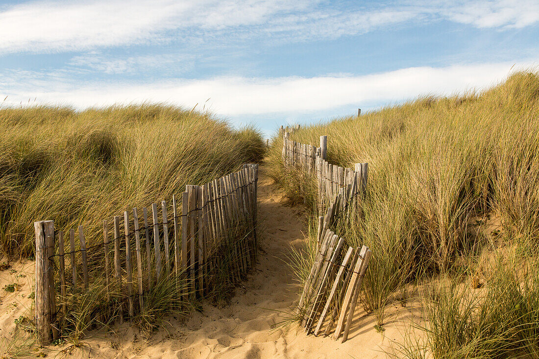 Locmariaquer, fenced beach access through grassy dunes, Côte des Mégalithes, Brittany, France