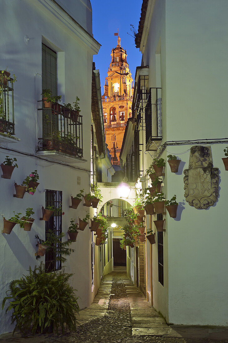Flower Alley and Tower of the Great Mosque/Cathedral, Cordoba, Region of Andalusia, Spain, Europe.
