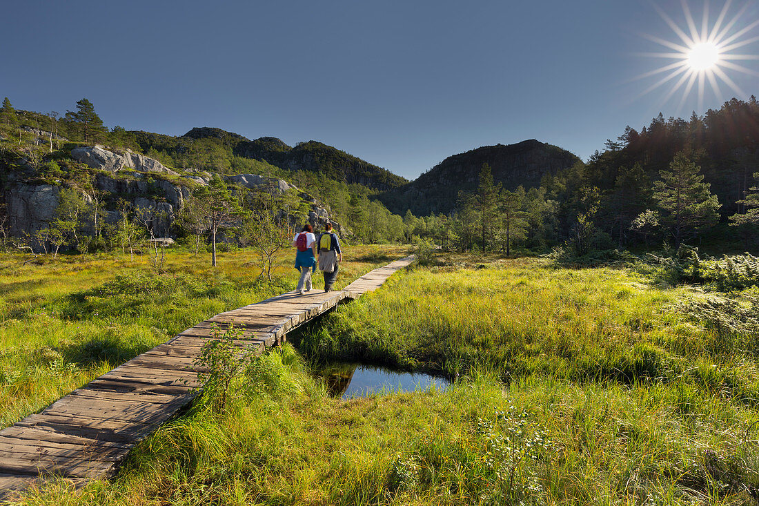 Wanderer, Holzsteg, Krogabekkmyra, Weg zum Preikestolen, Lysefjord, Rogaland, Norwegen