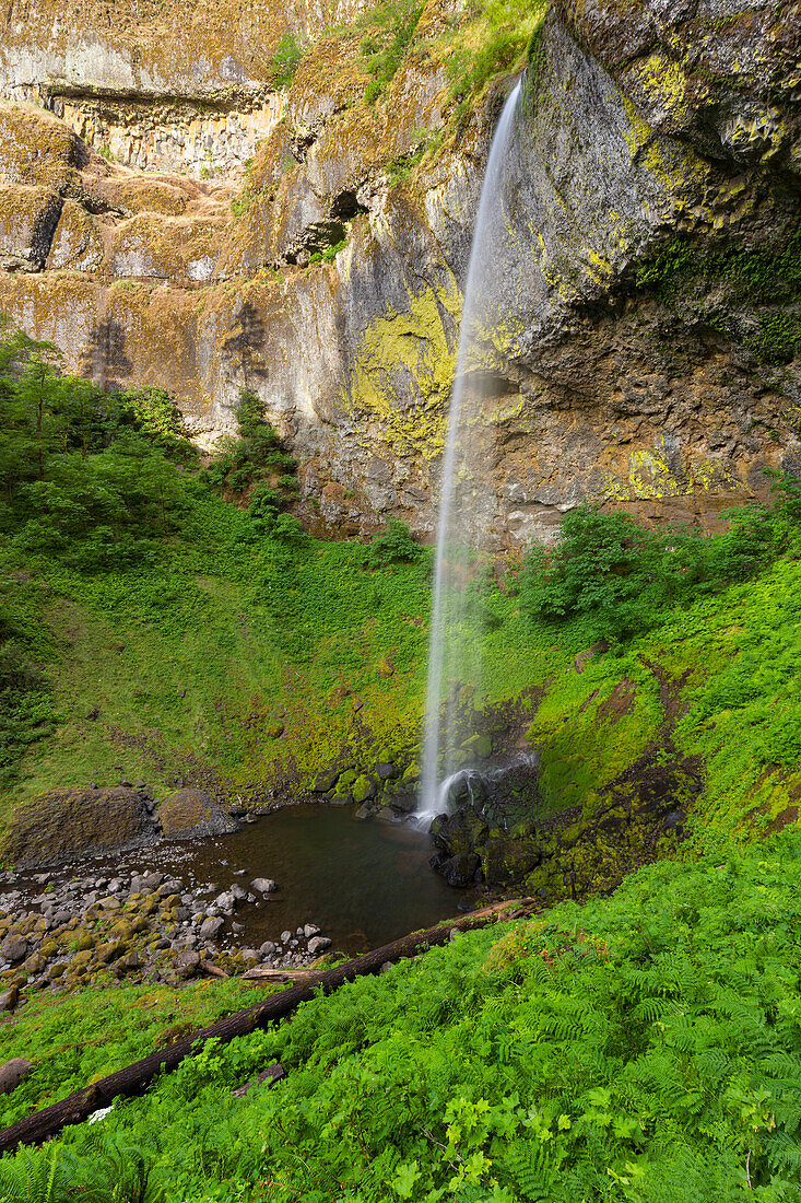Ponytail Falls, Columbia River Gorge, Oregon, USA