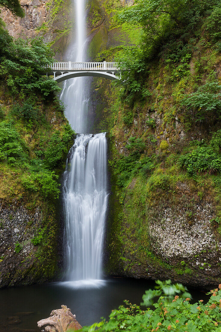 Multnomah Falls, Brücke, Columbia River Gorge, Oregon, USA